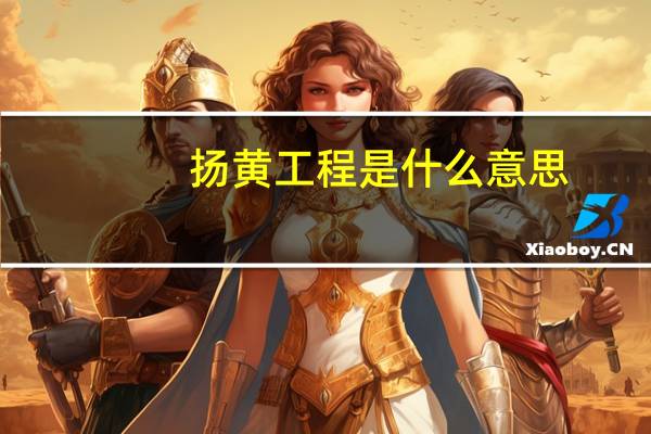 扬黄工程是什么意思