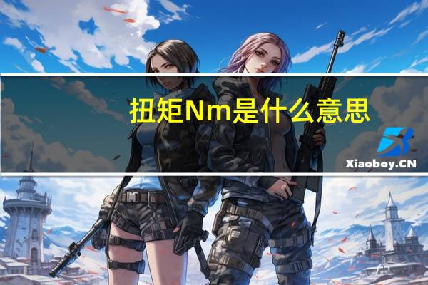 扭矩Nm是什么意思