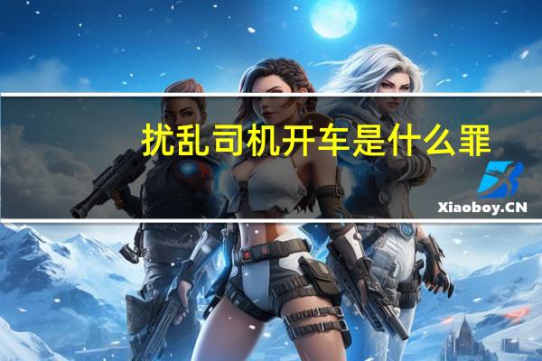 扰乱司机开车是什么罪