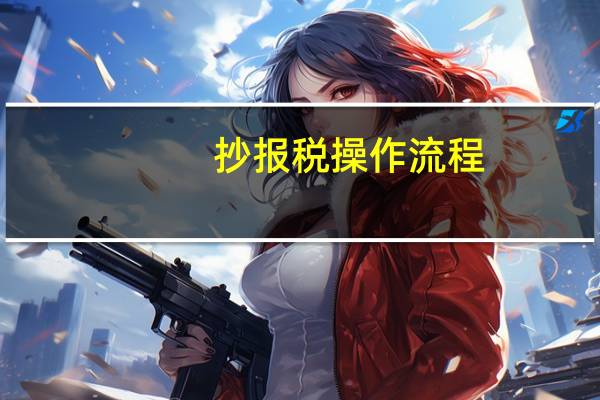 抄报税操作流程