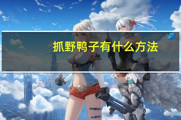 抓野鸭子有什么方法