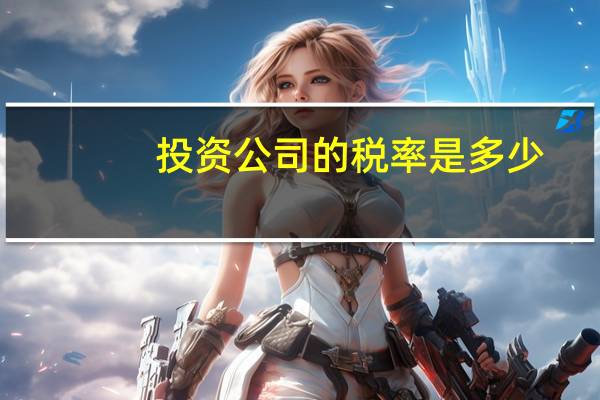 投资公司的税率是多少