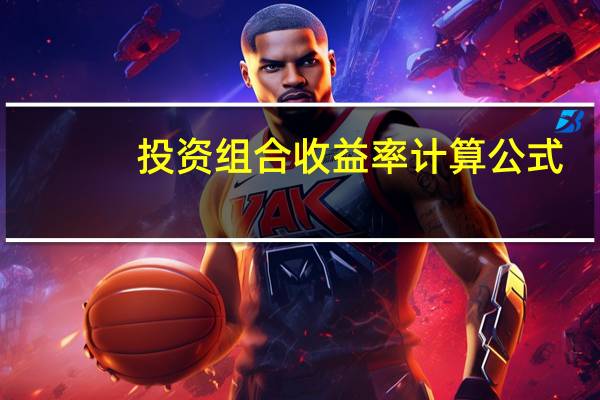 投资组合收益率计算公式