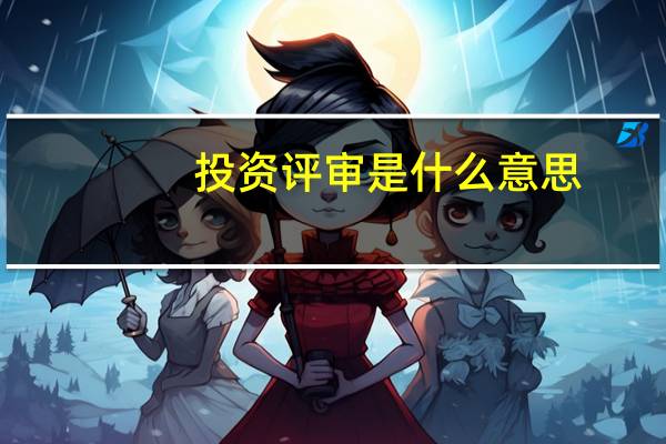 投资评审是什么意思