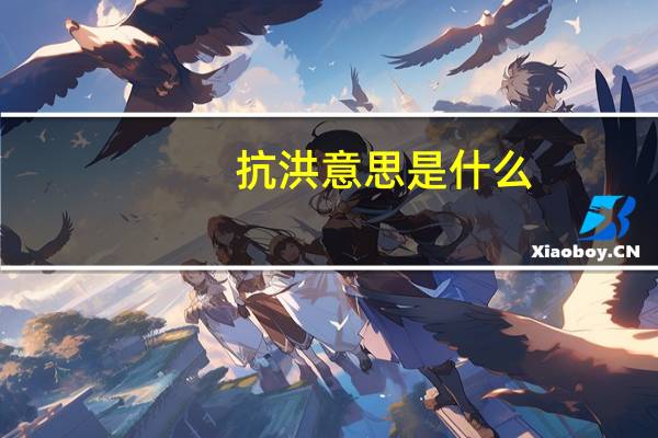 抗洪意思是什么
