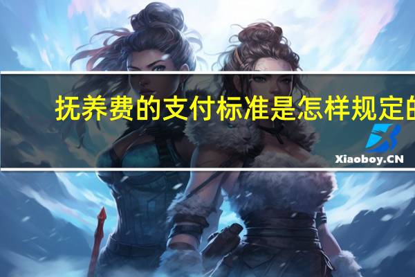 抚养费的支付标准是怎样规定的