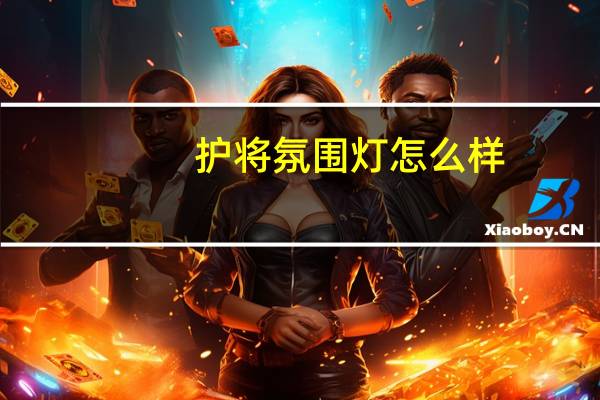 护将氛围灯怎么样