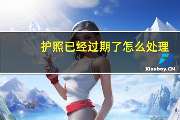 护照已经过期了怎么处理