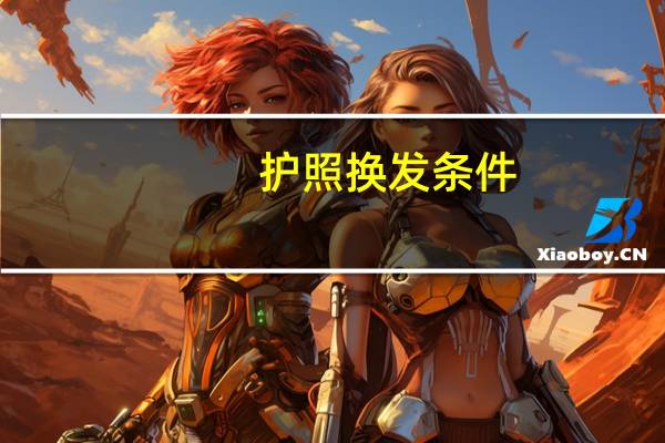 护照换发条件