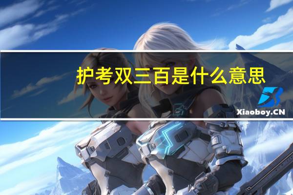 护考双三百是什么意思