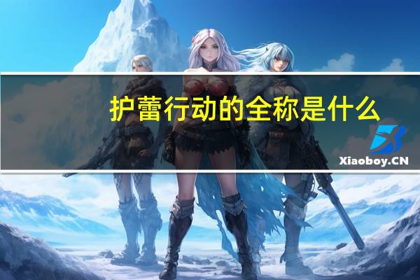 护蕾行动的全称是什么