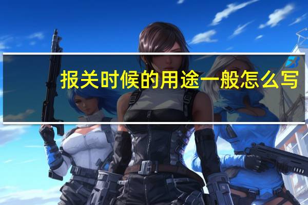 报关时候的用途一般怎么写