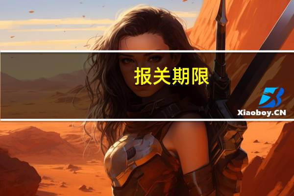 报关期限
