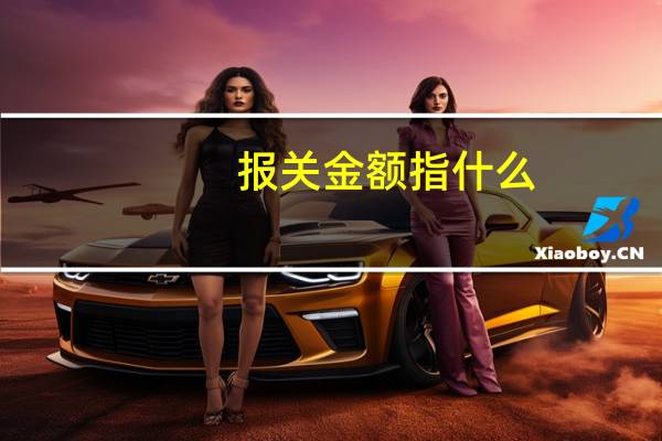 报关金额指什么