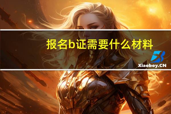 报名b证需要什么材料