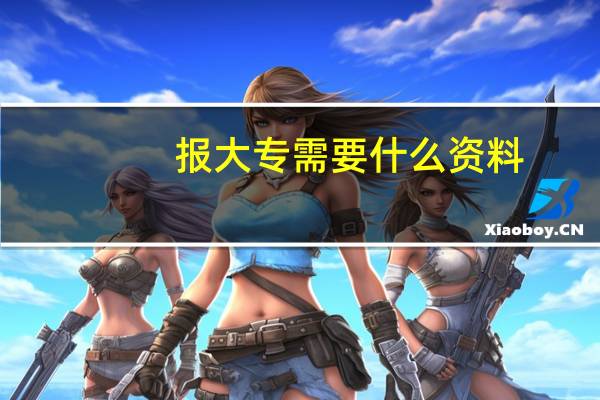 报大专需要什么资料