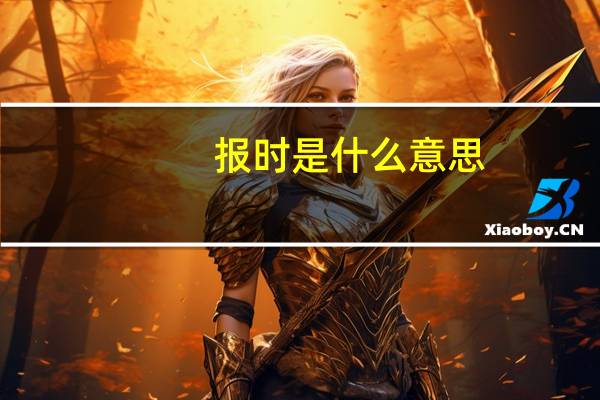 报时是什么意思