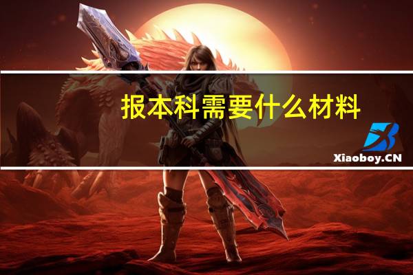 报本科需要什么材料