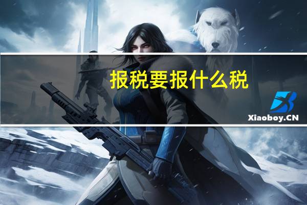 报税要报什么税