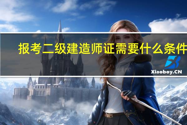 报考二级建造师证需要什么条件啊