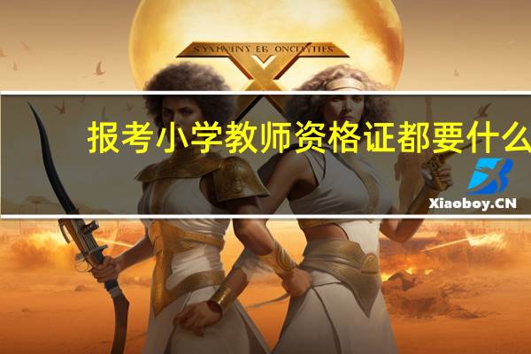 报考小学教师资格证都要什么