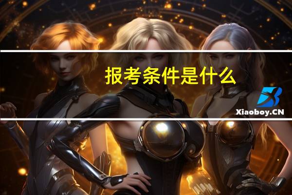 报考条件是什么