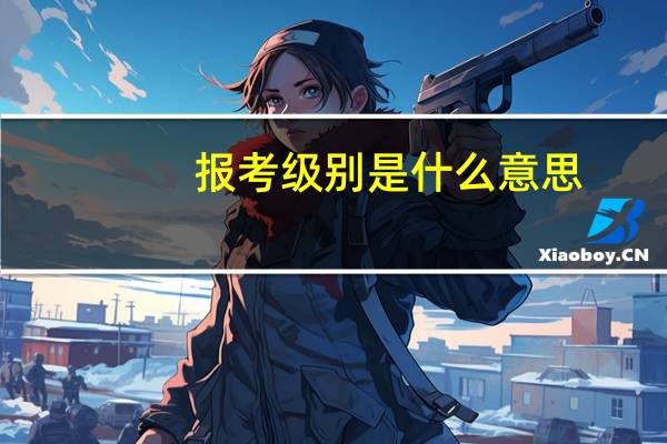 报考级别是什么意思