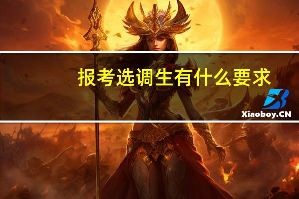 报考选调生有什么要求