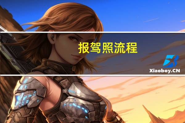 报驾照流程