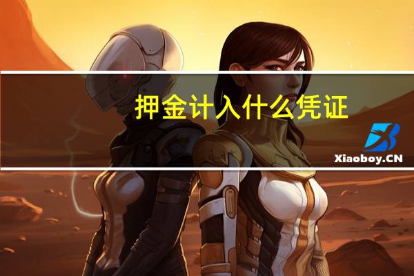 押金计入什么凭证