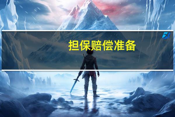 担保赔偿准备
