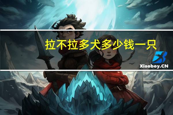 拉不拉多犬多少钱一只