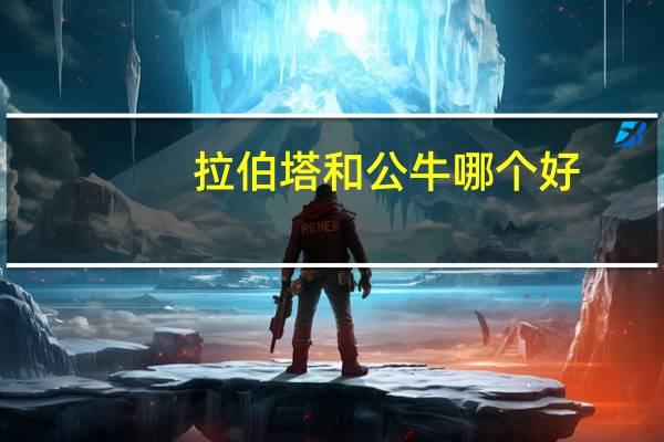 拉伯塔和公牛哪个好