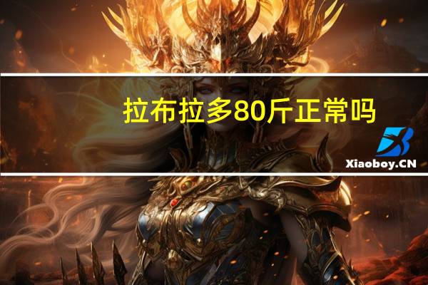 拉布拉多80斤正常吗