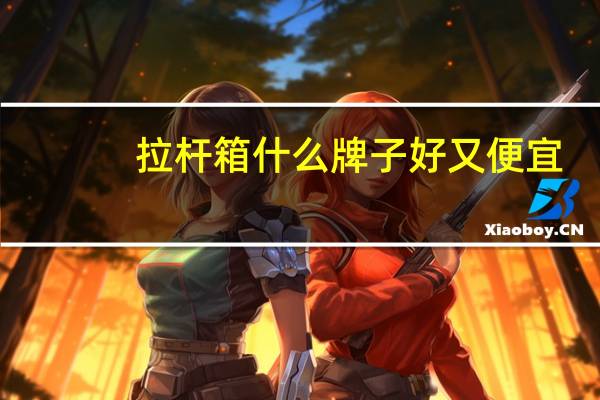 拉杆箱什么牌子好又便宜