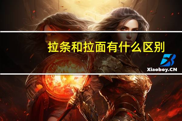 拉条和拉面有什么区别