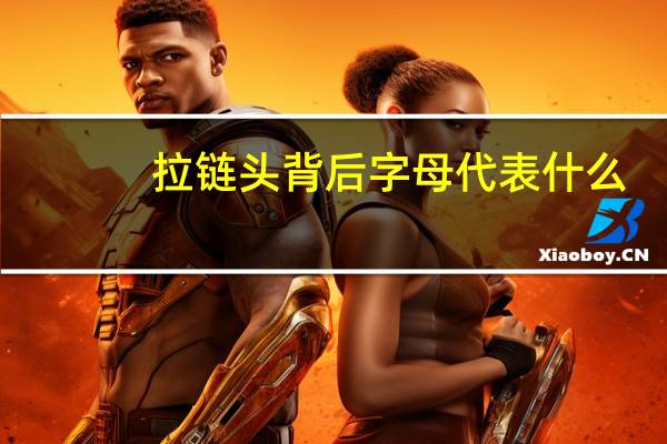 拉链头背后字母代表什么