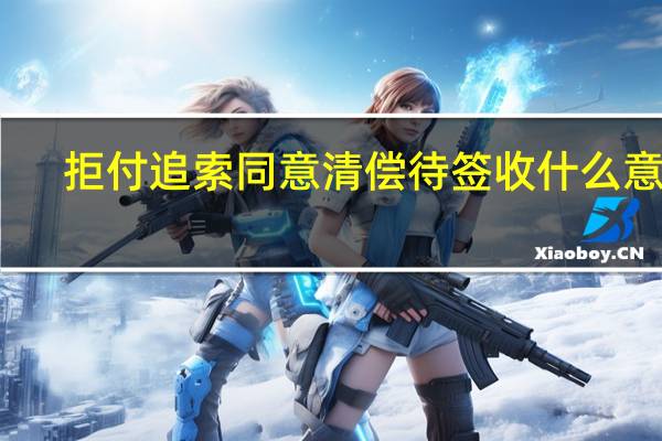 拒付追索同意清偿待签收什么意思