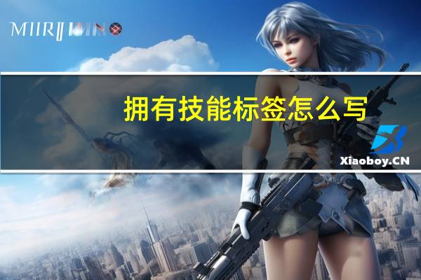 拥有技能标签怎么写