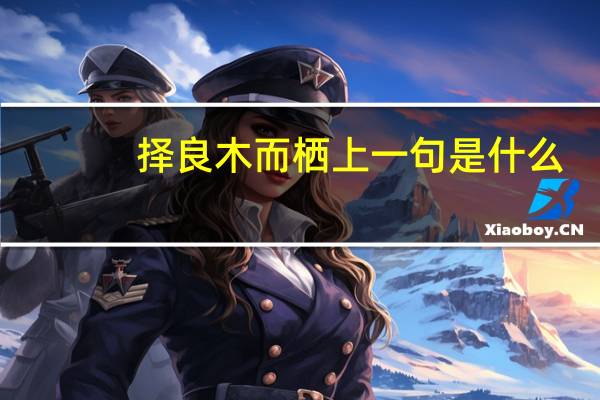择良木而栖上一句是什么