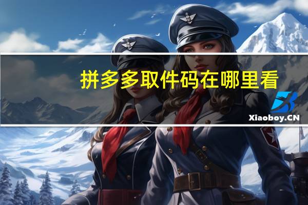 拼多多取件码在哪里看