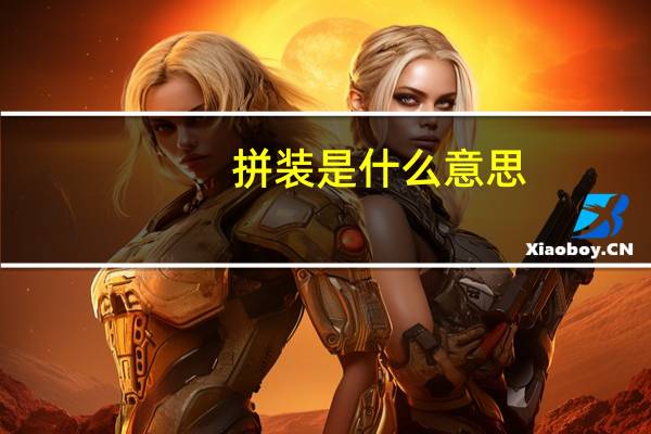 拼装是什么意思