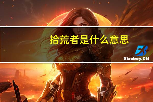 拾荒者是什么意思