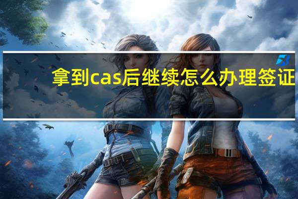 拿到cas后继续怎么办理签证