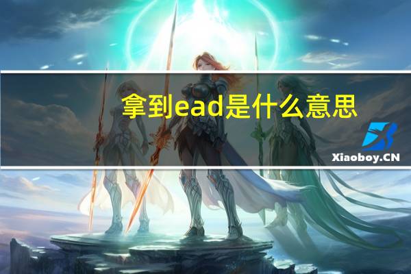 拿到ead是什么意思