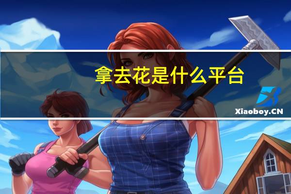 拿去花是什么平台
