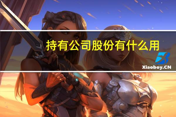 持有公司股份有什么用