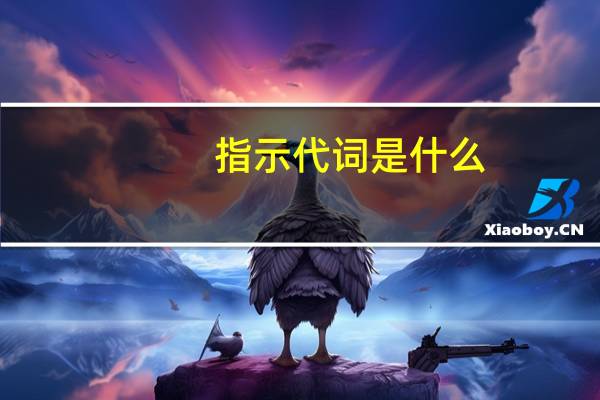 指示代词是什么