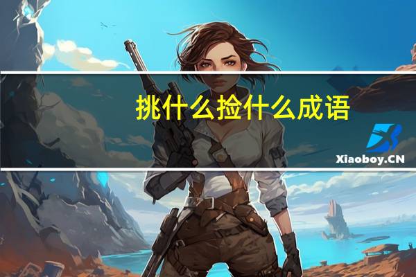 挑什么捡什么成语