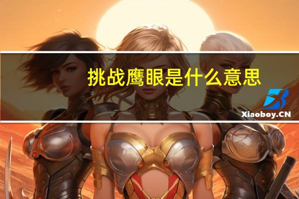 挑战鹰眼是什么意思